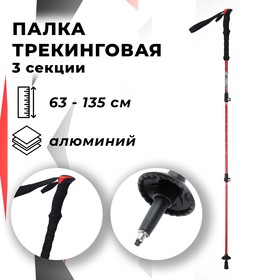Палка для скандинавской ходьбы ONLITOP, телескопическая, 3 секции, до 135 см, 1 шт., цвет красный