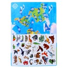 Игра на липучках «Животные мира», плакаты - фото 3723630
