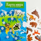 Игра на липучках «Животные мира», плакаты - фото 6402358