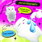 Мялка-антистресс «Сюрприз», мялка и попрыгунчик - Фото 3