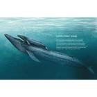 Синий кит:невероятная история самого крупного животного всех времён (6+). Тьернсхауген Андреас - Фото 2