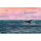 Синий кит:невероятная история самого крупного животного всех времён (6+). Тьернсхауген Андреас - Фото 16