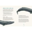 Синий кит:невероятная история самого крупного животного всех времён (6+). Тьернсхауген Андреас - Фото 17