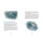 Синий кит:невероятная история самого крупного животного всех времён (6+). Тьернсхауген Андреас - Фото 3