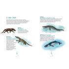 Синий кит:невероятная история самого крупного животного всех времён (6+). Тьернсхауген Андреас - Фото 7