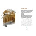 Синий кит:невероятная история самого крупного животного всех времён (6+). Тьернсхауген Андреас - Фото 10