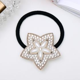 Резинка для волос «Кейт», звезда (комплект 6 шт) Резинка для волос «Кейт», звезда (комплект 6 шт)