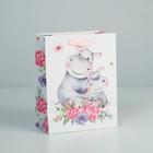 Пакет подарочный ламинированный вертикальный, упаковка, «Любимой Маме», MS 18 х 23 х 10 см - фото 24283964