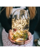 Гирлянда «Нить» 5 м роса, IP20, серебристая нить, 100 LED, 2 режима, батарейка AAх3 (не в комплекте), свечение тёплое белое 5198330 - фото 319929863