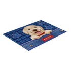 Альбом для рисования A4, 16 листов на скрепке "Собаки", обложка мелованный картон, блок 100 г/м2 - фото 9776672