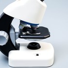 Микроскоп "Юный биолог" кратность до х1200, белый, подсветка - фото 6402746