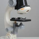 Микроскоп "Юный ботаник" кратность до х1200, белый, подсветка - фото 147213
