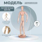 Деревянная модель - Человек 41 см - Фото 1