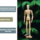 Деревянная модель - Человек 41 см - Фото 2