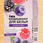 Кондиционер для белья Rain «Лесные ягоды», 5 л - Фото 4