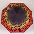 Зонт полуавтоматический «Цветы», 3 сложения, 8 спиц, R = 49 см, цвет МИКС - Фото 9