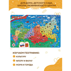 Пазл деревянный «Карта России» - фото 6403400