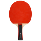 Набор для настольного тенниса BOSHIKA Training: 2 ракетки, 3 мяча, 1 звезда, сетка, крепление, цвет МИКС - фото 9949529