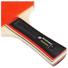 Набор для настольного тенниса BOSHIKA Training: 2 ракетки, 3 мяча, 1 звезда, сетка, крепление, цвет МИКС - Фото 4