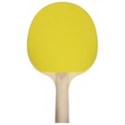 Ракетка для настольного тенниса BOSHIKA Training, 1 звезда - фото 4058631