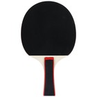 Ракетка для настольного тенниса BOSHIKA Championship, 2 звезды, цвет МИКС - фото 6403439