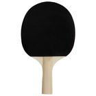 Набор для настольного тенниса BOSHIKA Training: 2 ракетки, 3 мяча, сетка, крепление - фото 9241295