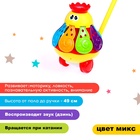 Каталка на палочке «Вертушка», цвета МИКС - Фото 4