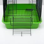 Клетка для грызунов "Пижон" №9, с 3-я этажами, без наполнения, 33 х 24 х 38 см, зеленый микс - Фото 5