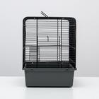 Клетка для грызунов "Пижон" №12, с 2-я этажами, без наполнения, 37,5 х 25,5 х 32,5 см, серая 6705618