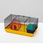 Клетка-мини для грызунов "Пижон" №1, укомплектованная, 27 х 15 х 13 см, жёлтая - Фото 3