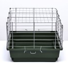 Клетка для кроликов, морских свинок "Пижон" №6, хром, 58 х 40 х30 см, зеленый - Фото 2