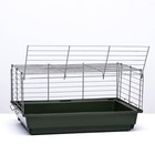 Клетка для кроликов, морских свинок "Пижон" №6, хром, 58 х 40 х30 см, зеленый - Фото 6
