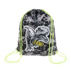 Мешок для обуви 440×365 мм, Erich Krause, плотность 300D, со светоотражающей полосой, Dinosaur Park - Фото 1