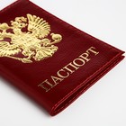 Обложка для паспорта, цвет бордовый - фото 8026462