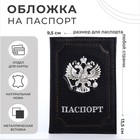 Обложка для паспорта, цвет чёрный - фото 1424882
