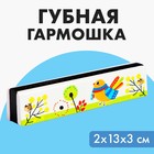 Губная гармошка «Курочка», размер 2×13×3 см, цвет белый - Фото 1