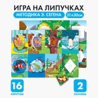 Игра на липучках «Животные» (по методике Сегена) - фото 51015029