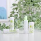 Бальзам для губ оттеночный «Алоэ» - Фото 3