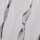 Наклейки для ногтей «Изящество», цвет белый/серебристый - Фото 2