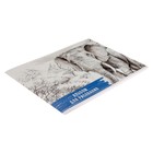Альбом для рисования А4, 32 листа на скрепке "Слон", обложка мелованный картон, блок 100 г/м² - Фото 2