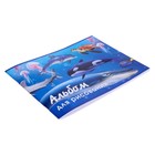 Альбом для рисования А4, 40 листов на скрепке "Морской мир", обложка мелованный картон, внутренний блок офсет 100 г/м² - Фото 2