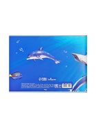 Альбом для рисования Calligrata «Морской мир» А4, 40 листов, на скрепке, плотность листов 100 г/м², обложка из мелованного картона - Фото 8