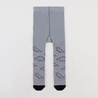 Колготки Крошка Я «Динозавры», цвет серый, рост 68-74 см 6385302