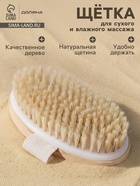 Щётка массажная для тела Доляна, натуральная щетина - Фото 1