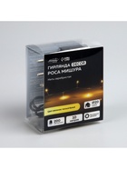 Гирлянда «Мишура» 10 м роса, IP20, серебристая нить, 200 LED, свечение тёплое белое, 12 В - Фото 10