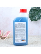 Средство для очистки воды в бассейне Aqualand, от водорослей, не пенящийся М, 1 л - Фото 5