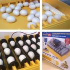 Инкубатор, на 56 яиц, автоматический переворот, 220 В, Ovation - Фото 5