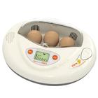 Инкубатор, на 3 яйца, автоматический переворот, 220 В, Rcom Mini - фото 295139811