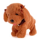 УЦЕНКА Интерактивная игрушка «Любимый друг: Щенок Кексик», выполняет команды, реагирует на касания, лает, скулит - Фото 2