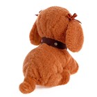 УЦЕНКА Интерактивная игрушка «Любимый друг: Щенок Кексик», выполняет команды, реагирует на касания, лает, скулит - Фото 4